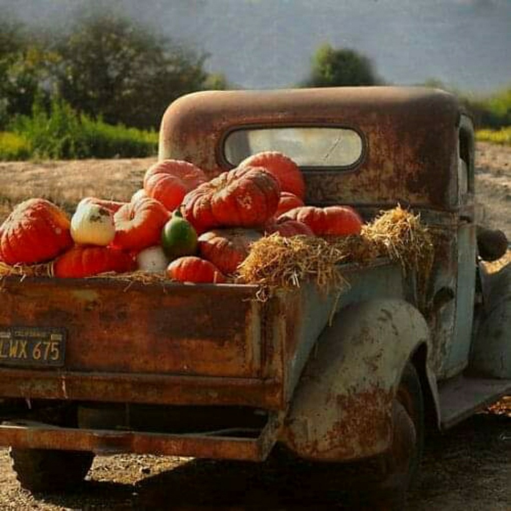 Meet your Posher, Minnie